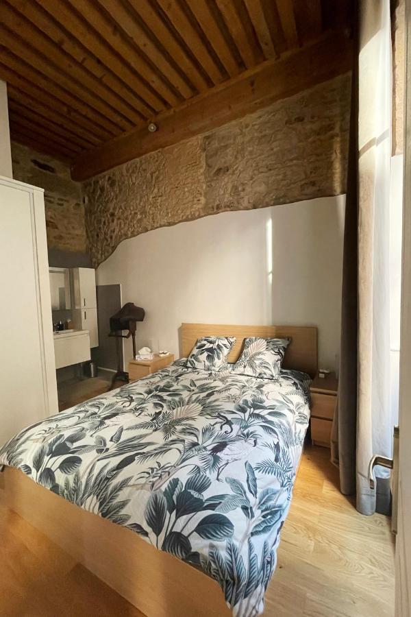 Coeur Vieux Lyon, 60 M2 Lumineux Tout Confort Eksteriør bilde